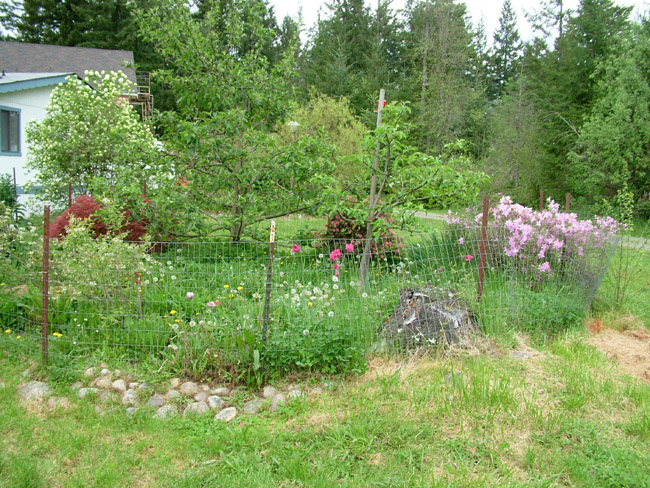 DSCF0809