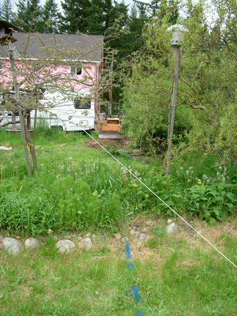 DSCF0812