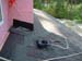 DSCF0806